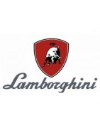 Repuestos quemadores Lamborghini | Boquillas, bombas, fotocélulas y recambios
