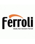 Repuestos Ferroli para calderas de gasóleo | Recambios originales y compatibles