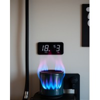 GAS